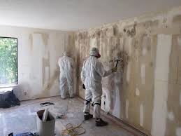 Why You Should Choose Our Mold Remediation Services in Ranchos De Taos, NM